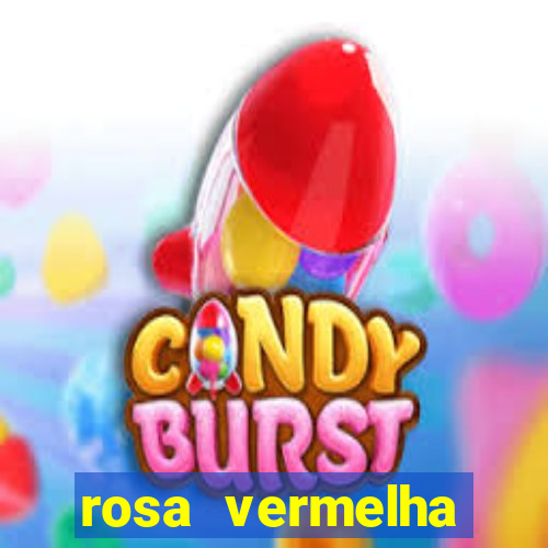 rosa vermelha (letra e cifra)